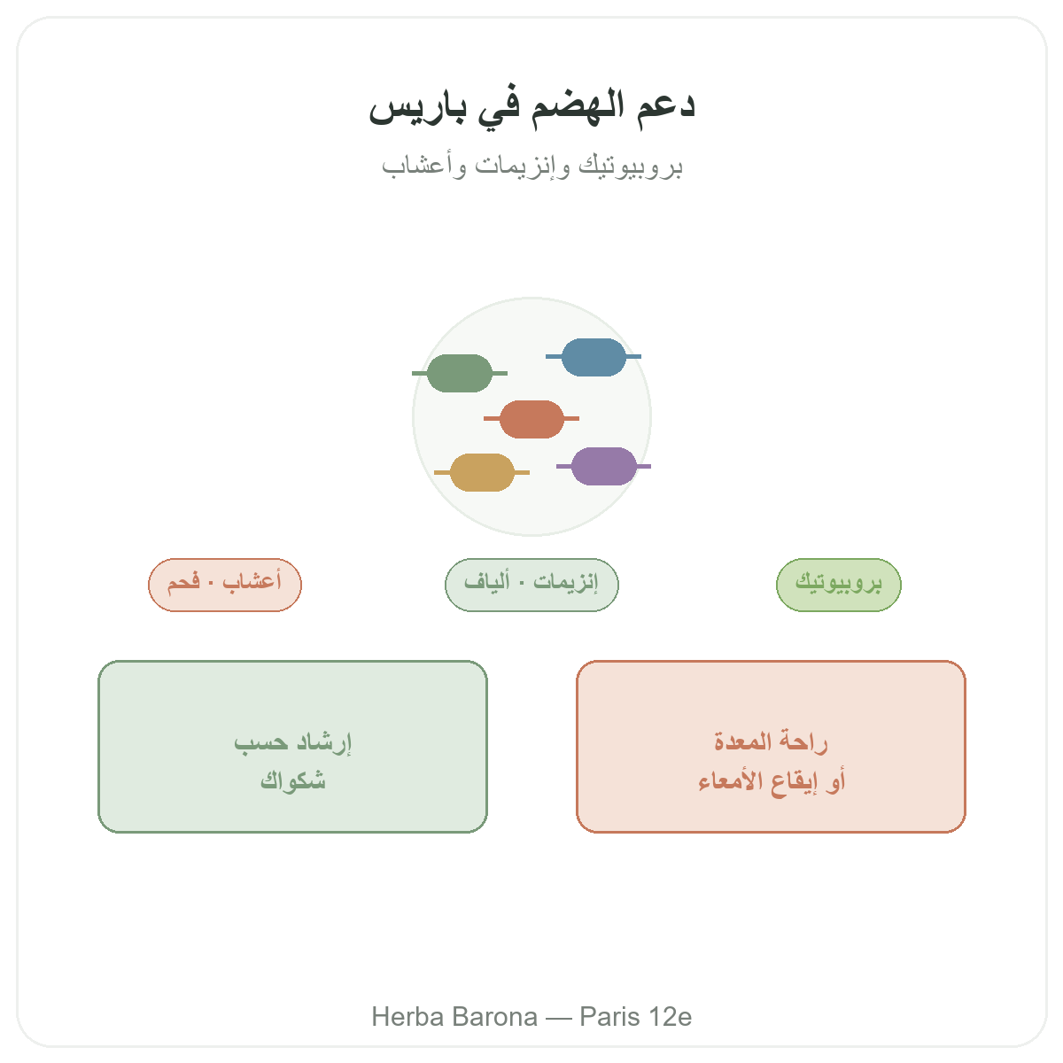 الهضم والعبور المعوي في باريس - تقديم العلامة لدى Herba Barona باريس الدائرة 12