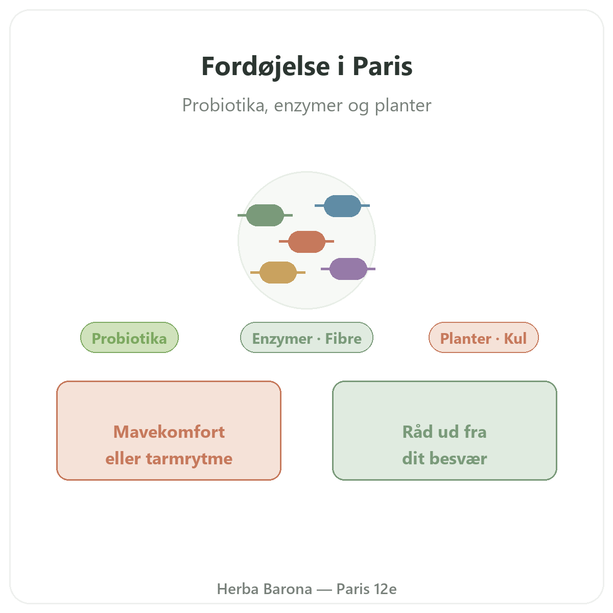 Fordøjelse og tarmfunktion i Paris - præsentation hos Herba Barona Paris 12