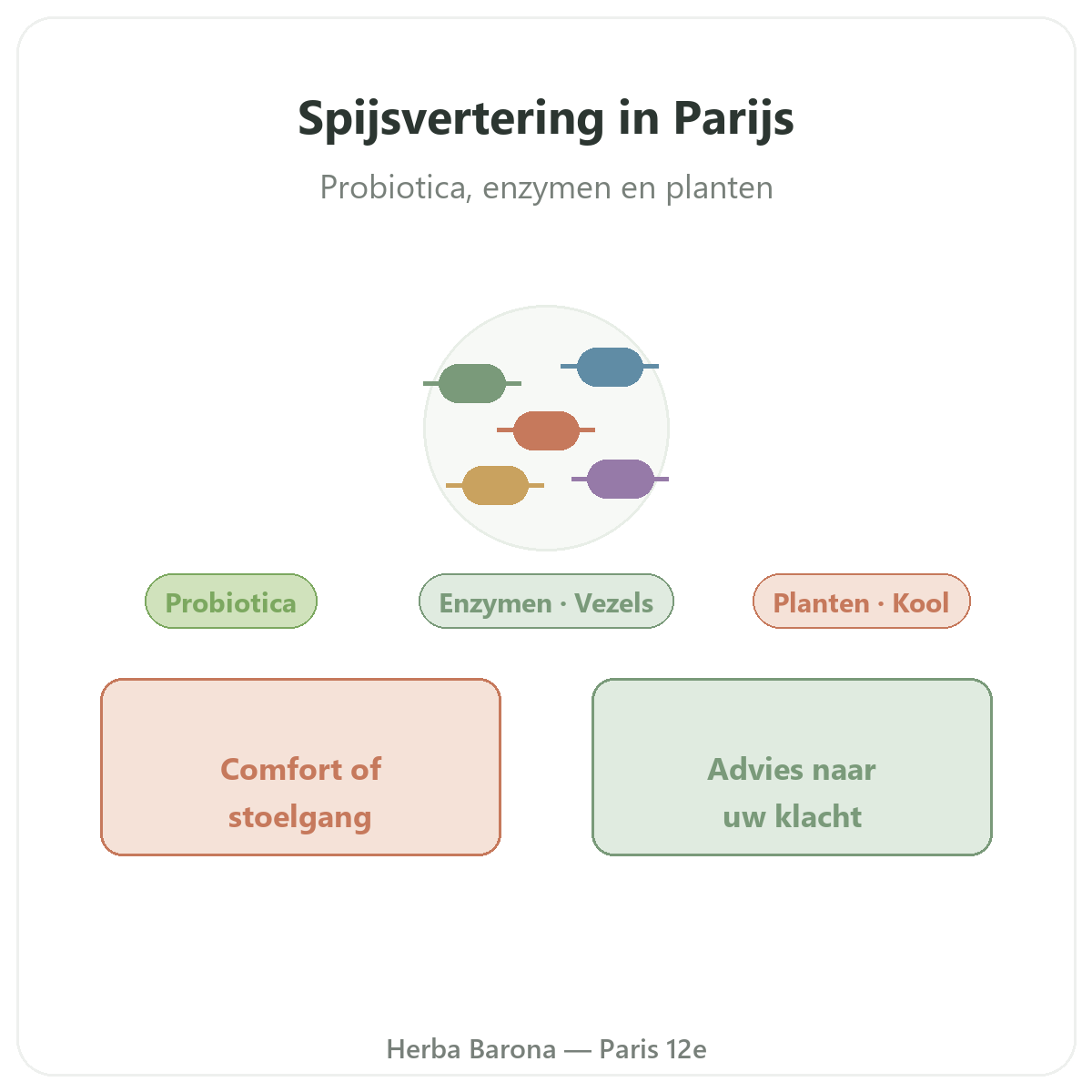 Spijsvertering en transit Parijs - presentatie van het merk bij Herba Barona Parijs 12e