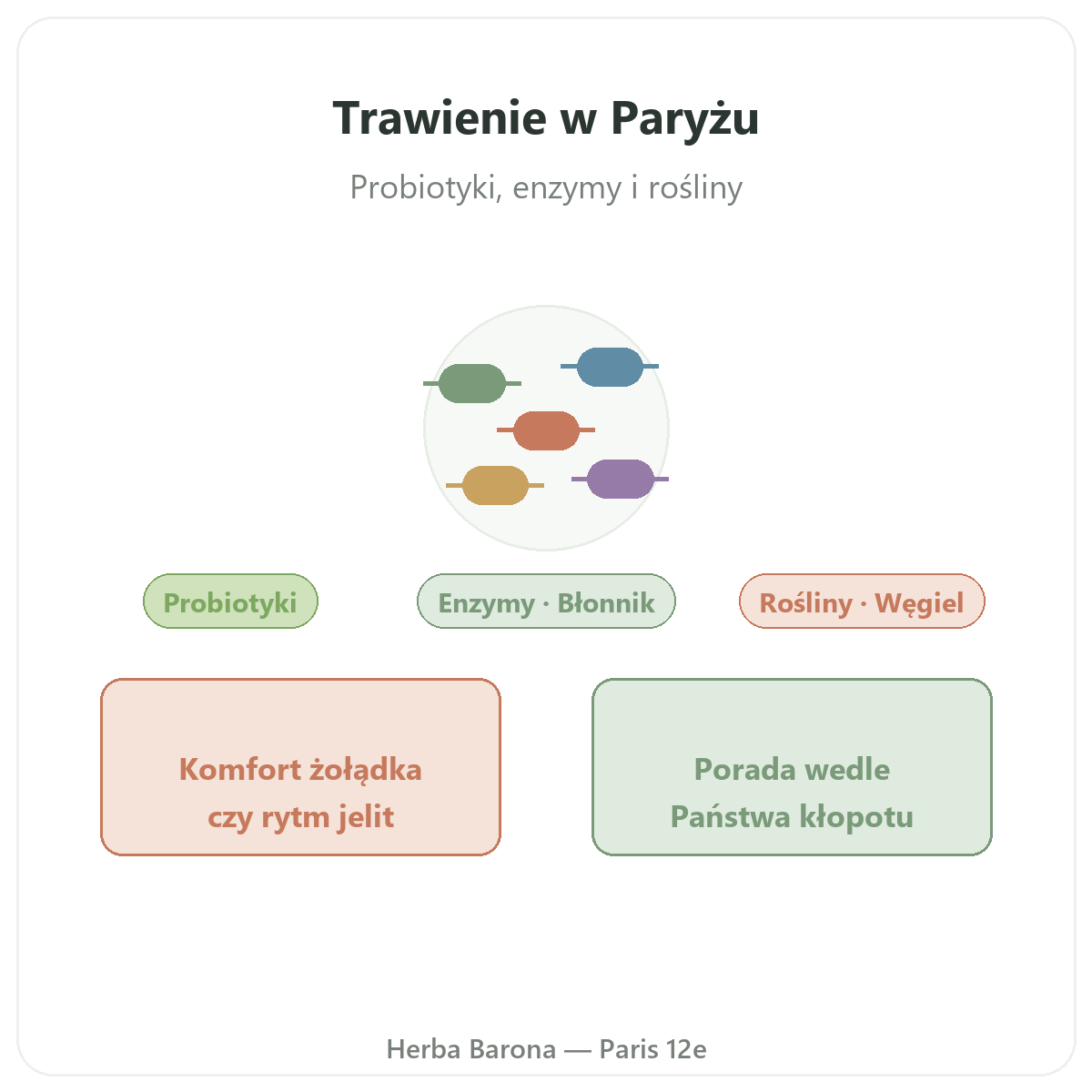 Trawienie i tranzyt Paryż - prezentacja marki w Herba Barona Paris 12e