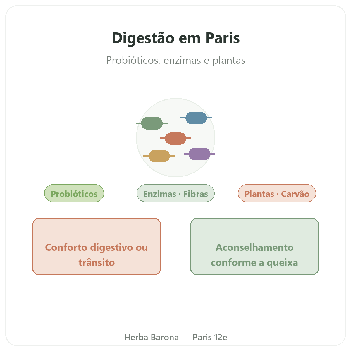 Digestão e trânsito Paris - apresentação da categoria na Herba Barona Paris 12e