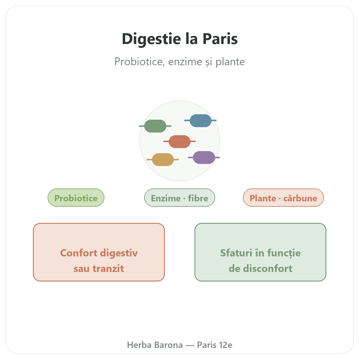 Digestie Tranzit la Paris - prezentarea mărcii la Herba Barona Paris, arondismentul 12