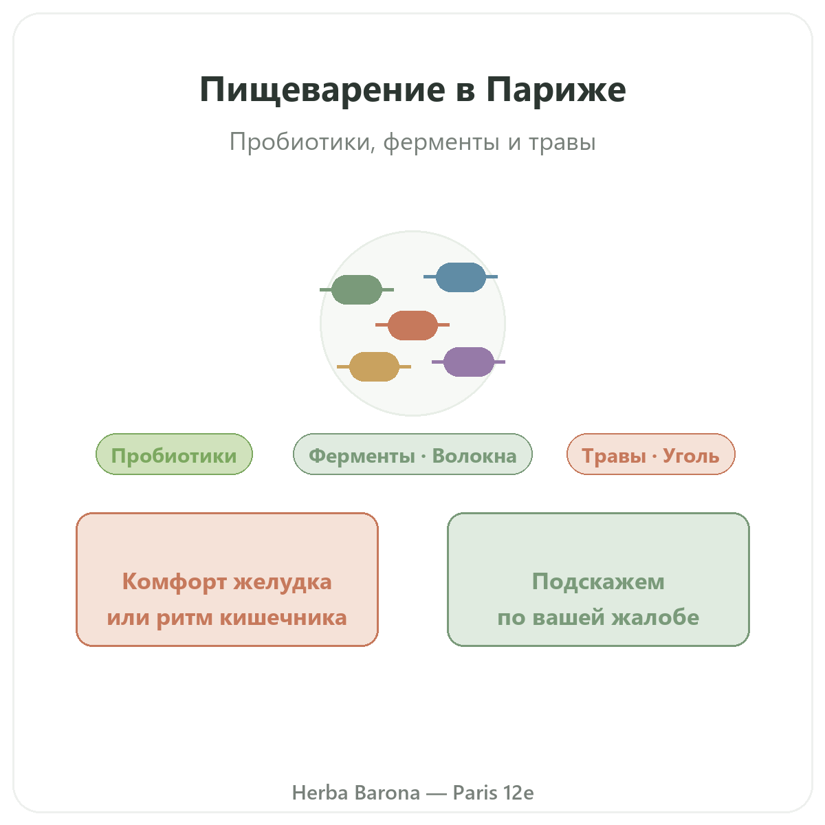 Пищеварение транзит Париж Париж - представление марки в Herba Barona Париж, 12-й округ