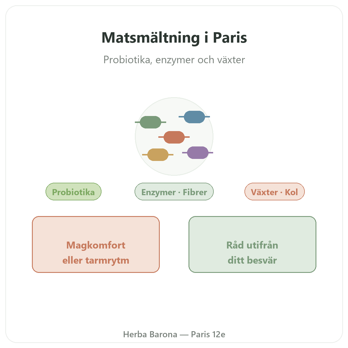 Matsmältning och tarmfunktion i Paris – presentation hos Herba Barona Paris 12e