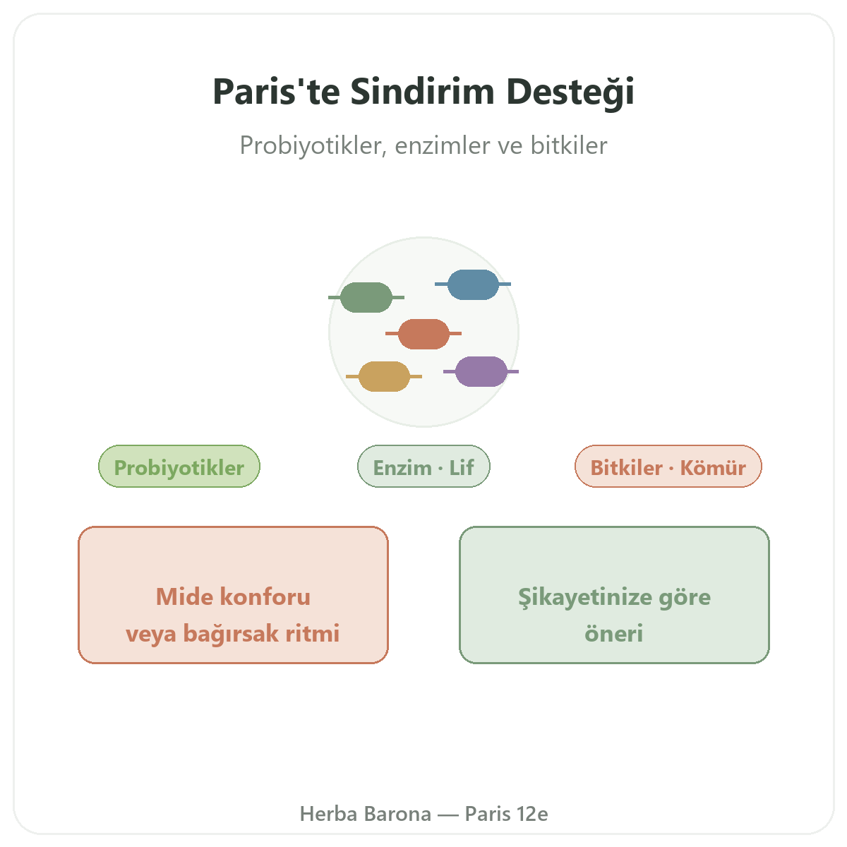 Paris’te Sindirim ve Bağırsak Transiti - Herba Barona Paris 12. bölge’de marka tanıtımı