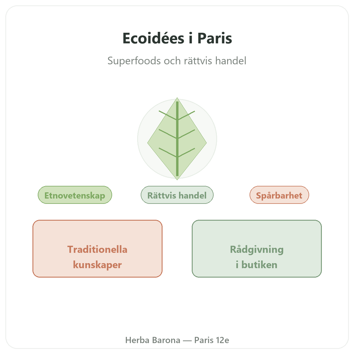 Ecoidées Ethnoscience i Paris - hos Herba Barona Paris 12e