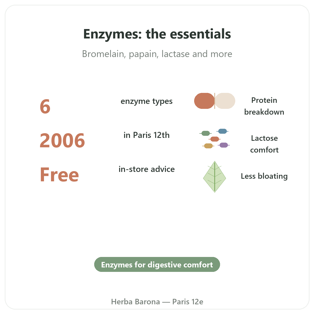 Digestive enzymes at a glance - key facts at Herba Barona Paris 12th