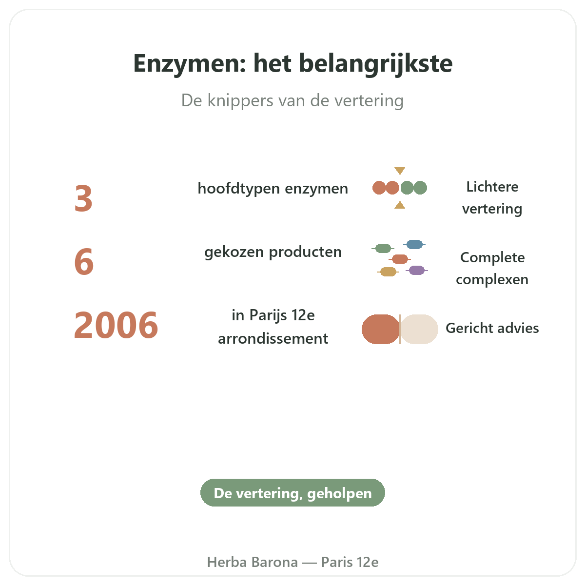 Spijsverteringsenzymen in het kort - kerncijfers bij Herba Barona Parijs