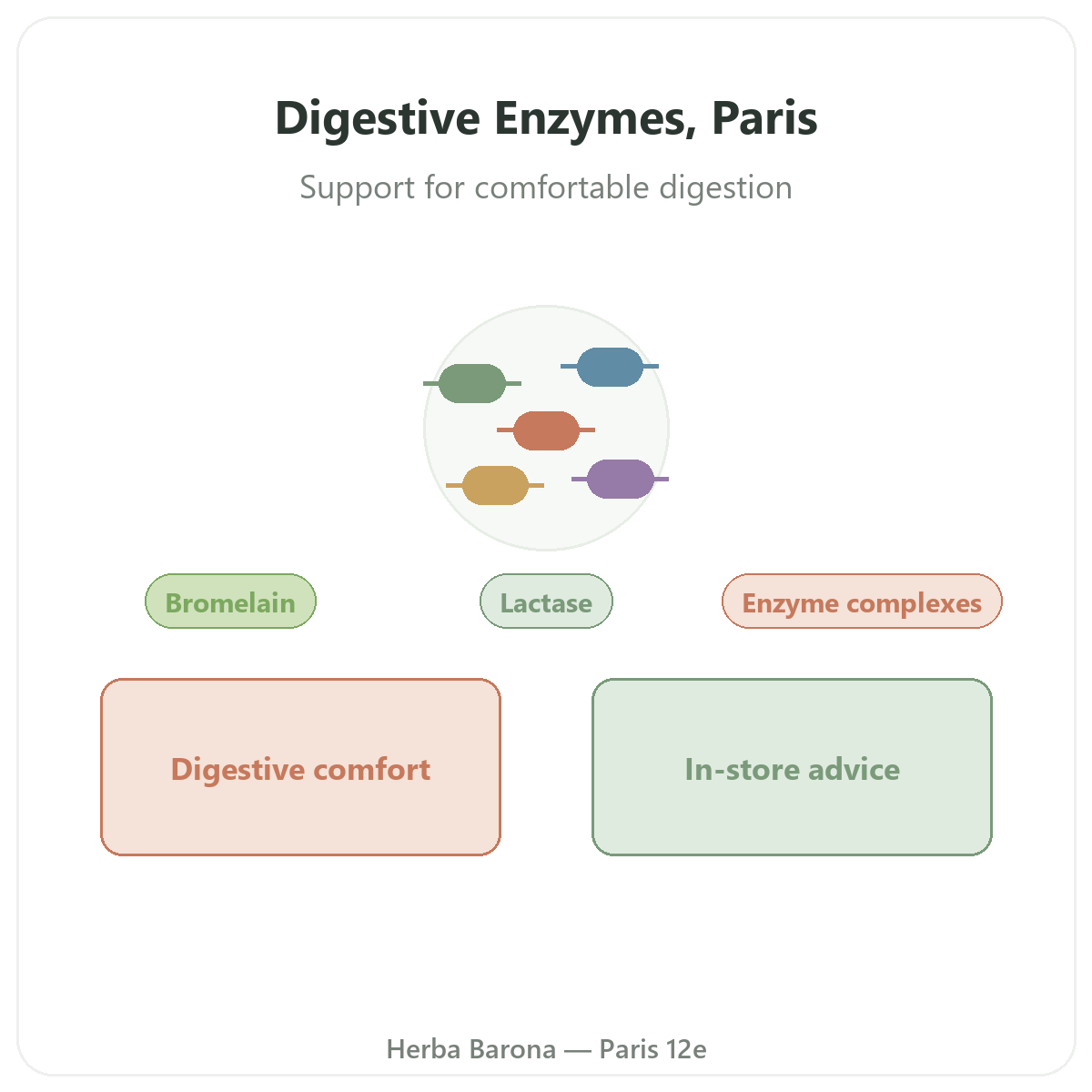 Digestive enzymes in Paris - at Herba Barona Paris 12th