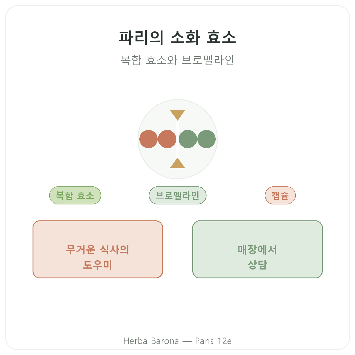 파리 소화 효소 - Herba Barona 파리 12구