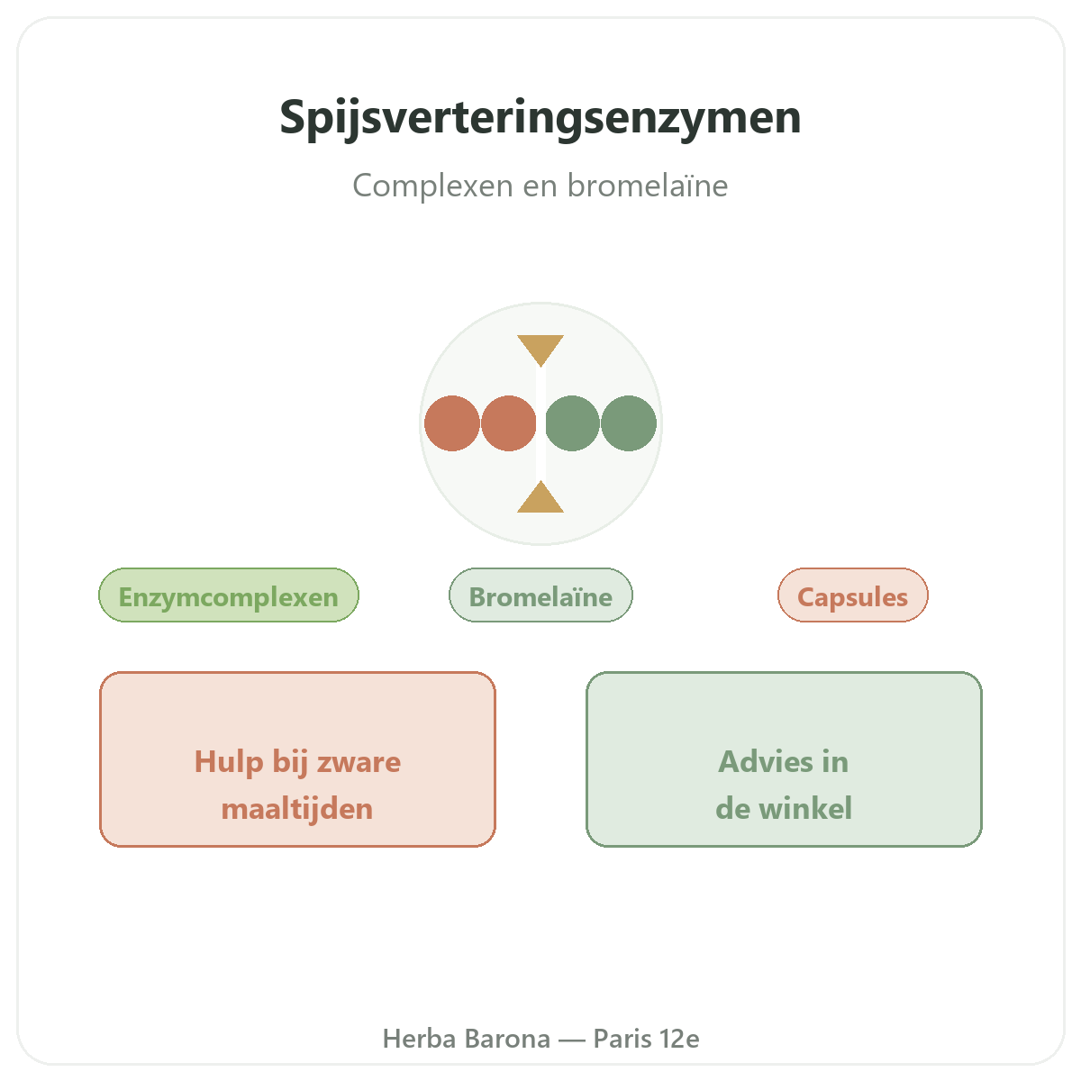 Spijsverteringsenzymen in Parijs - bij Herba Barona Parijs