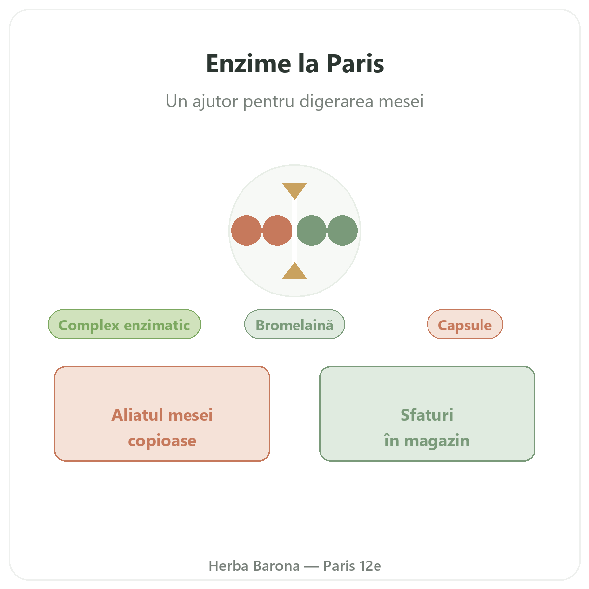 Enzime digestive la Paris - la Herba Barona Paris, arondismentul 12