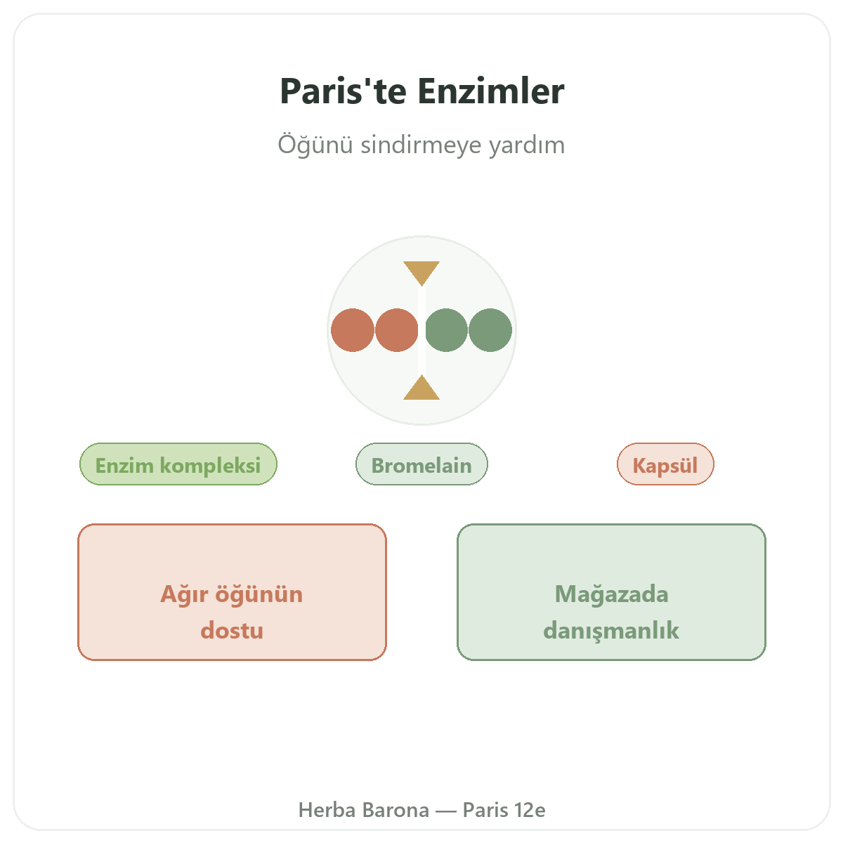 Paris’te sindirim enzimleri - Herba Barona Paris 12. bölge’de