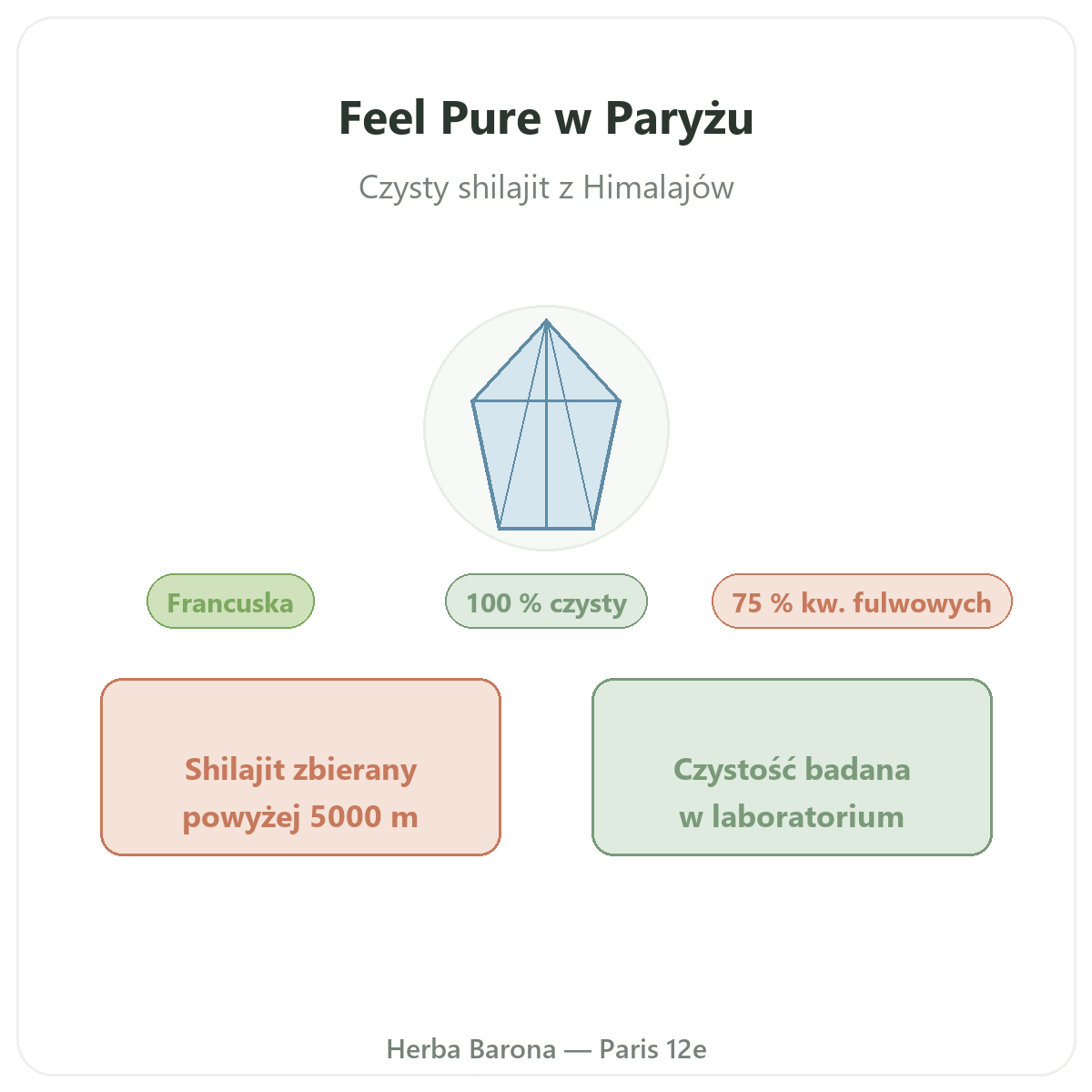 Feel Pure w Paryżu - prezentacja marki w Herba Barona, Paryż 12. dzielnica