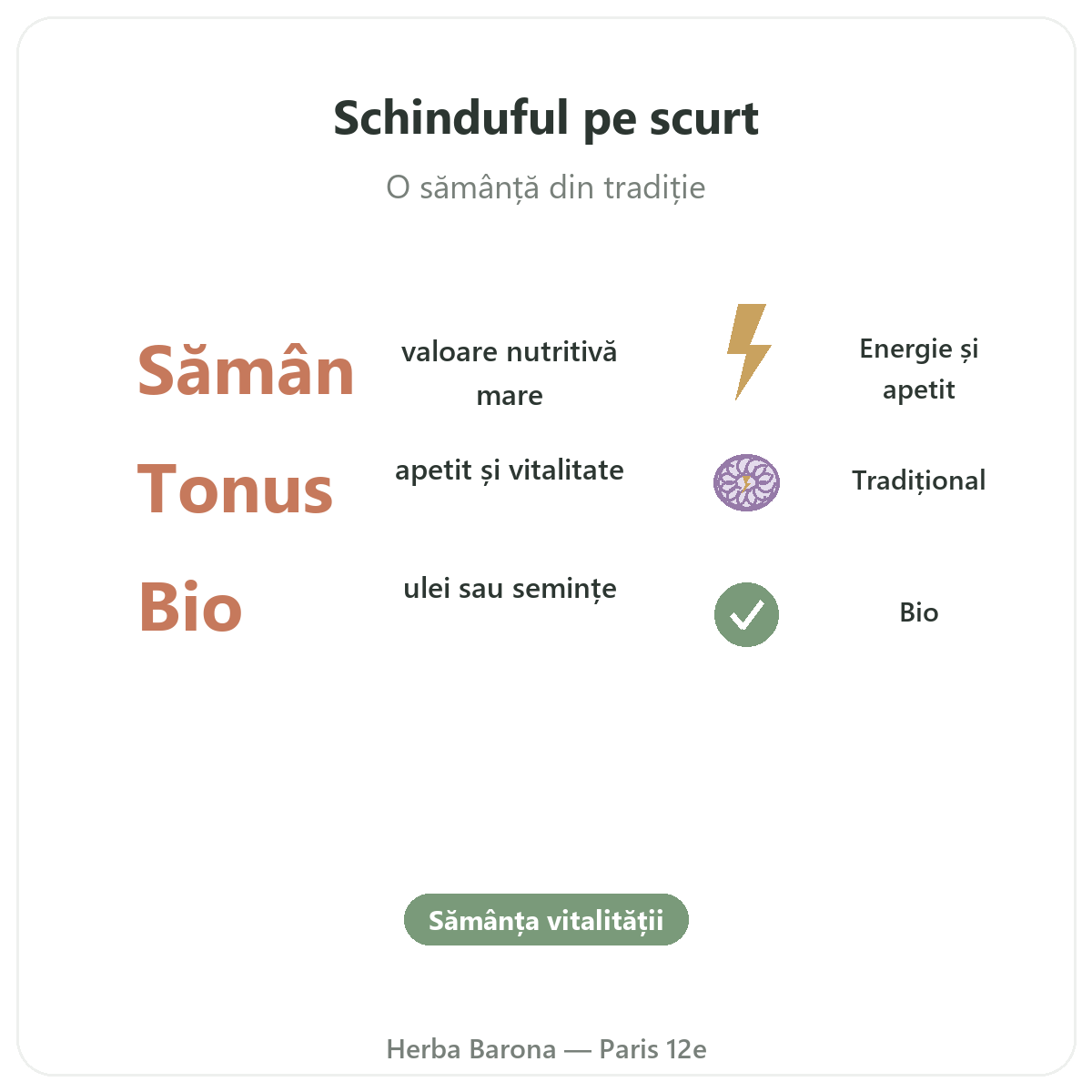 Schinduf Paris pe scurt - cifre cheie la Herba Barona Paris, arondismentul 12