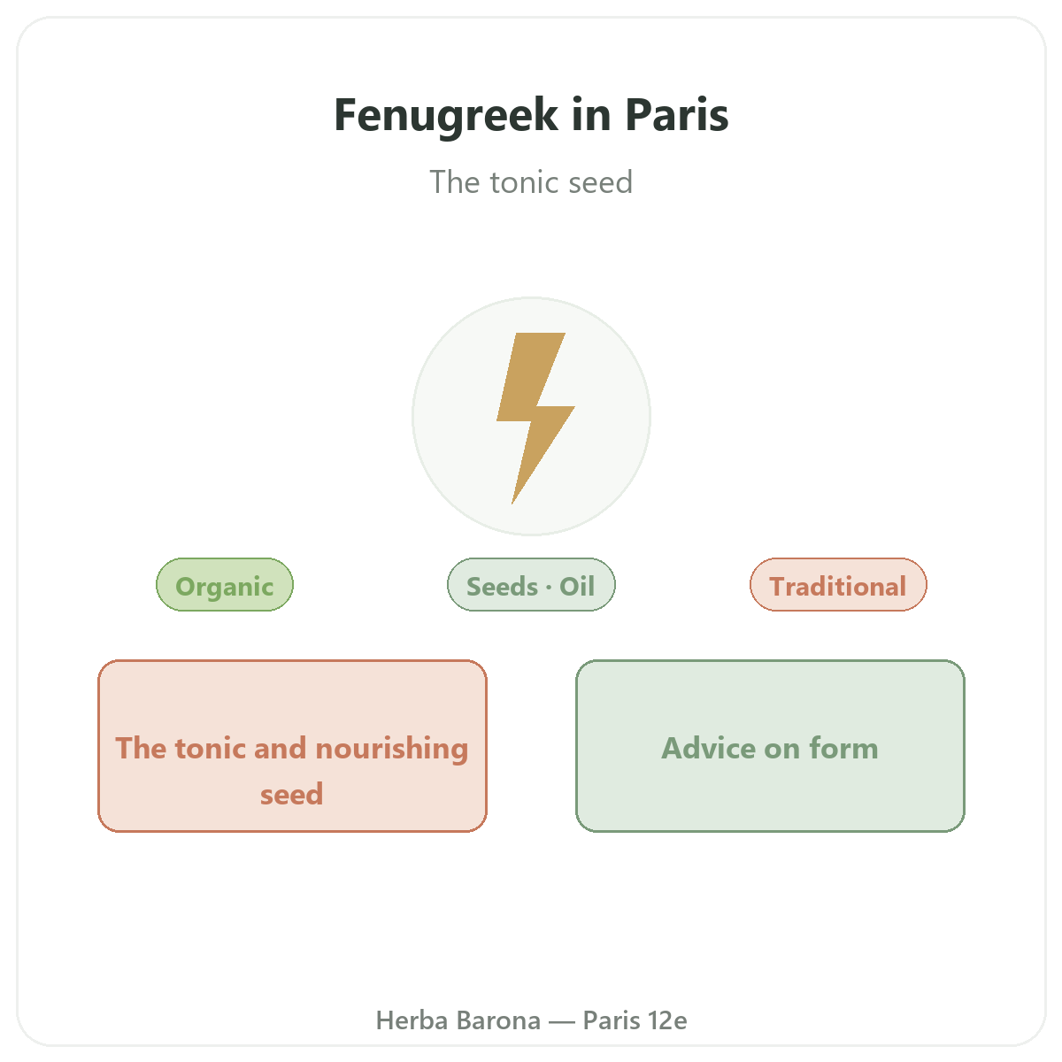 Fenugreek in Paris - brand overview at Herba Barona Paris 12th