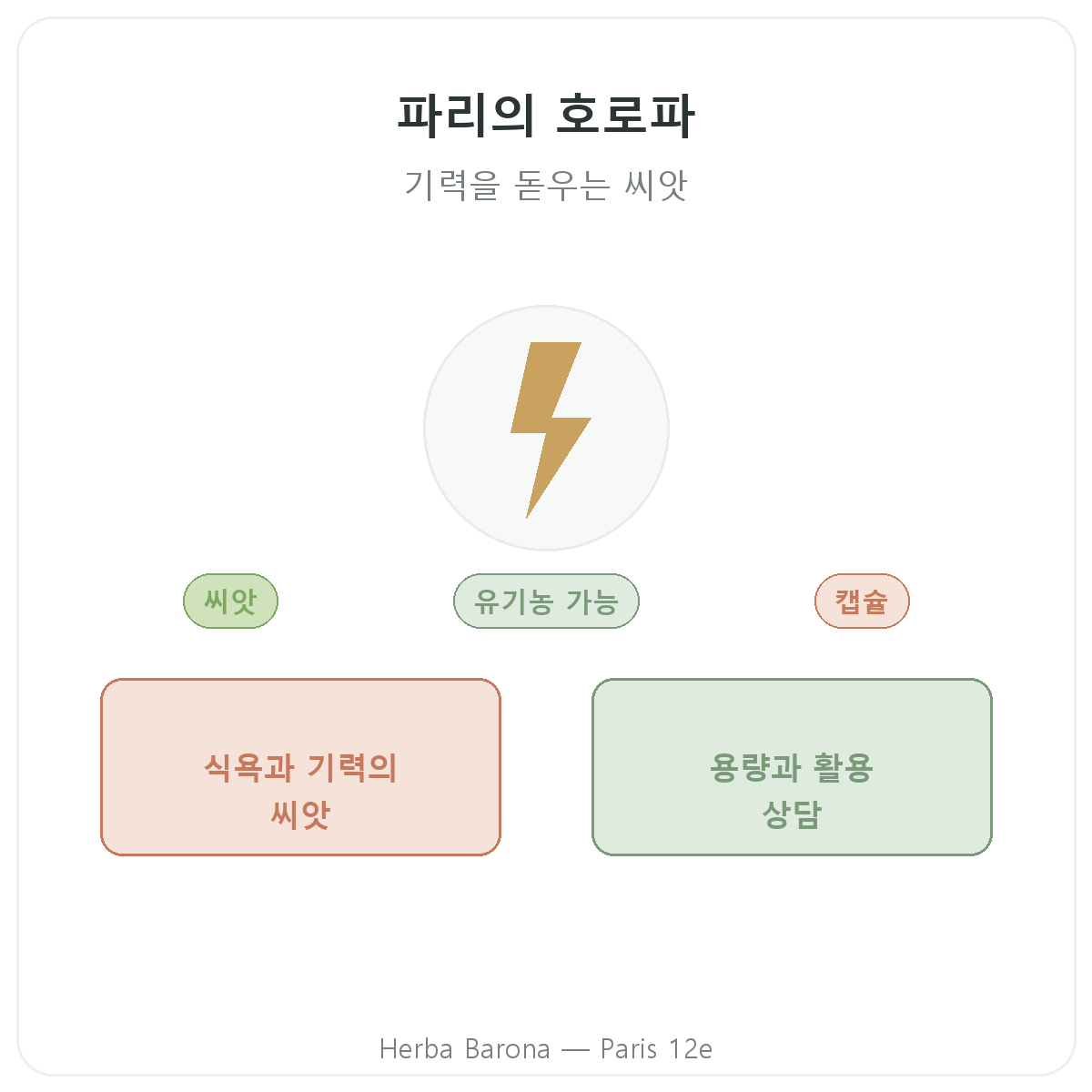 파리 호로파 - Herba Barona 파리 12구 브랜드 소개