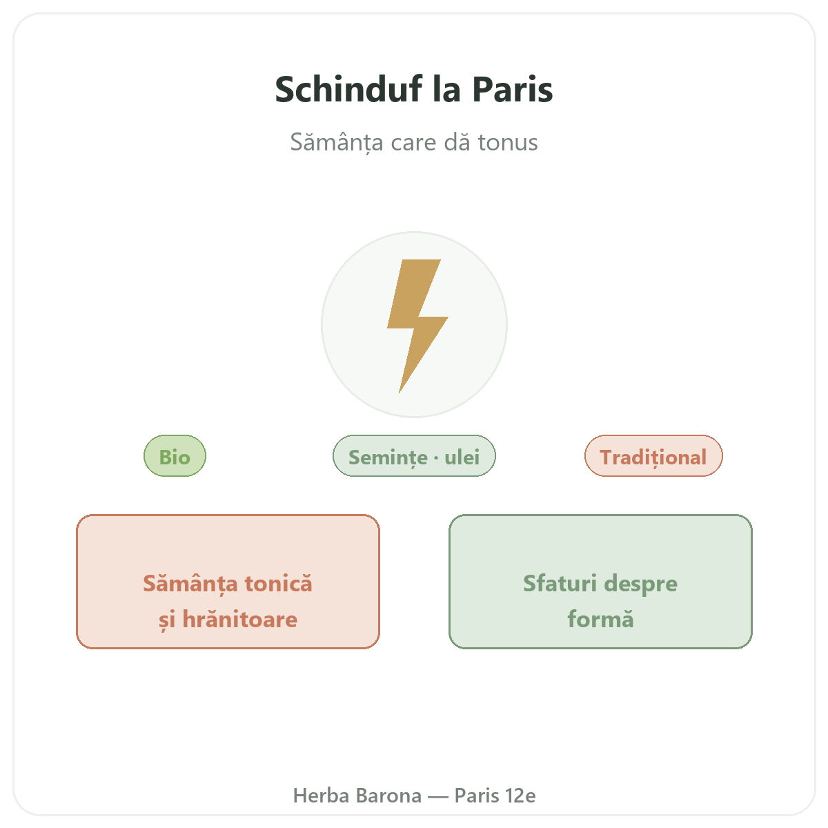 Schinduf Paris - prezentarea mărcii la Herba Barona Paris, arondismentul 12