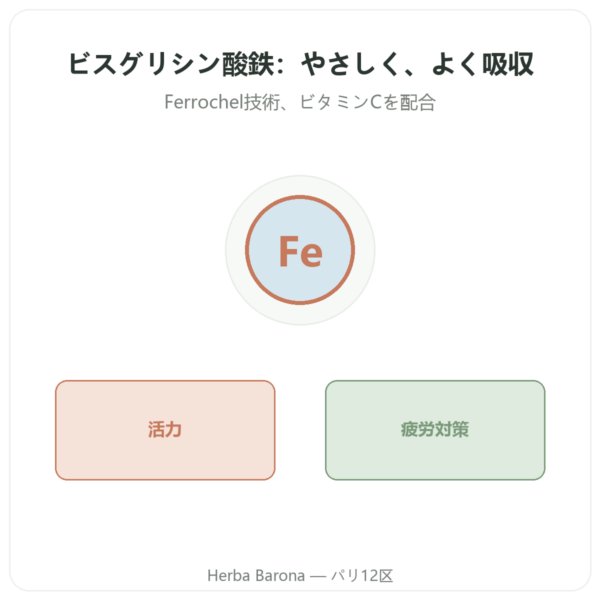 鉄ビスグリシネート – Novoma – 90カプセル presentation Paris Herba Barona