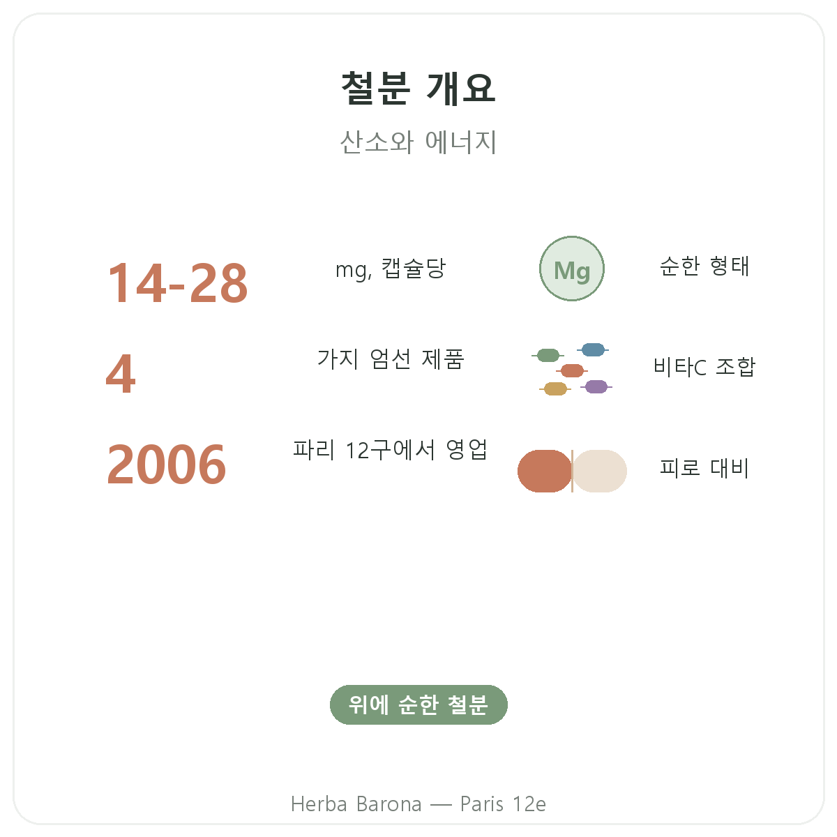 파리 철분 요약 - 핵심 수치 - Herba Barona 파리 12구