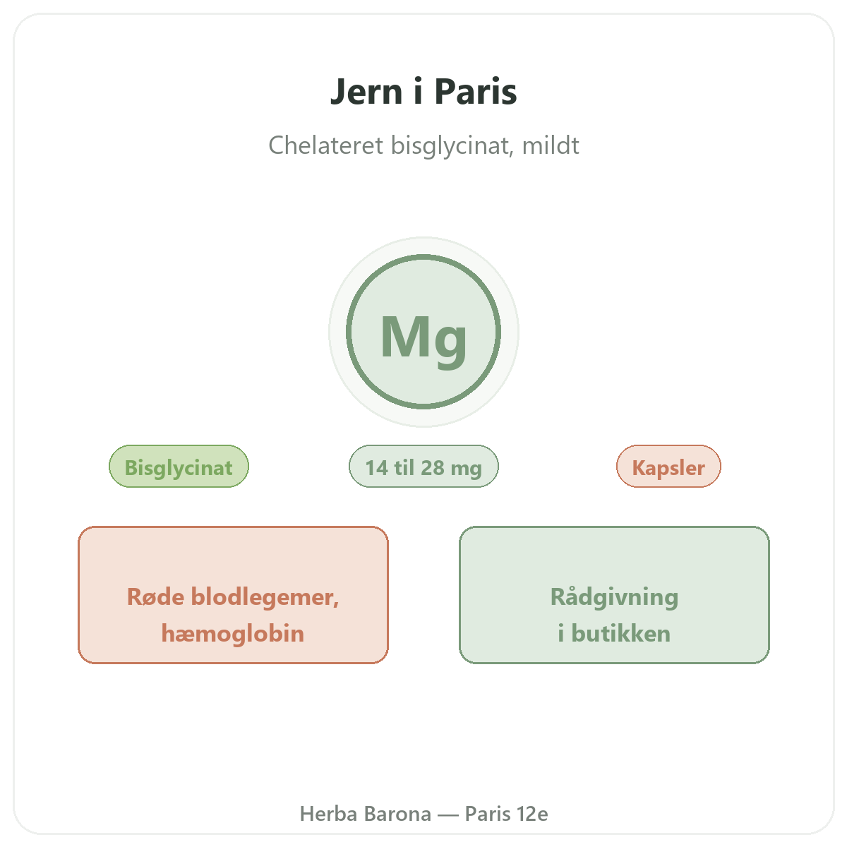 Jern i Paris - hos Herba Barona Paris 12