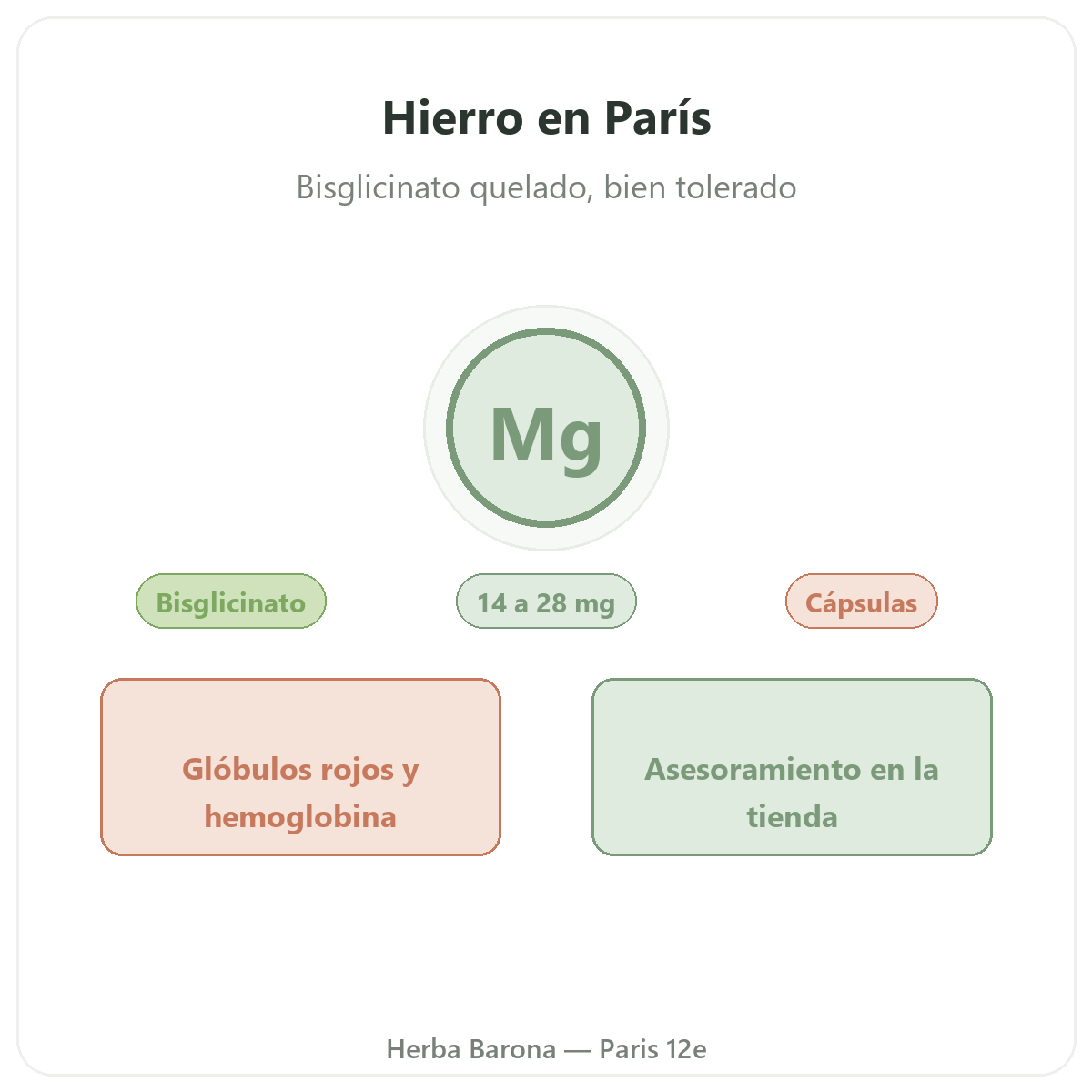 Hierro en París - en Herba Barona París 12e