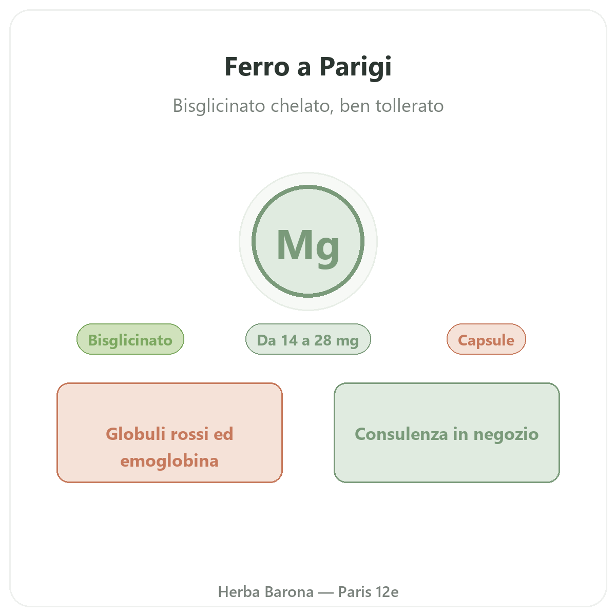 Ferro a Parigi - da Herba Barona Parigi 12e