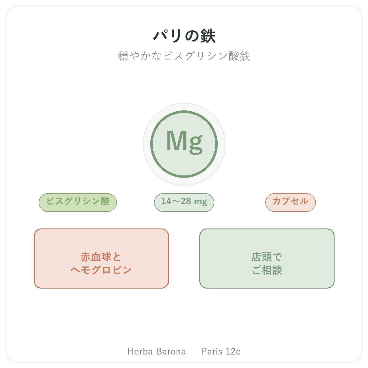パリの鉄 - Herba Barona パリ12区