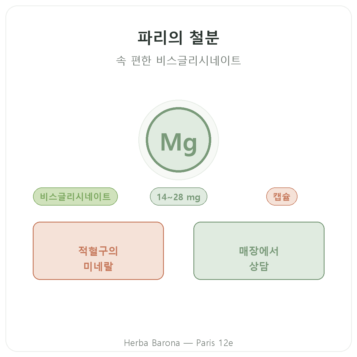 파리의 철분 - Herba Barona 파리 12구