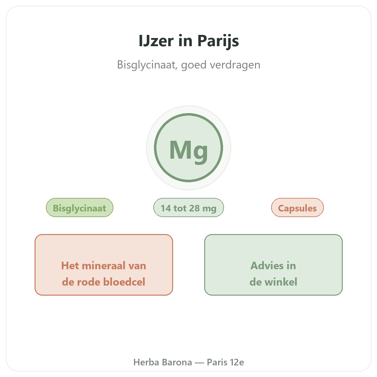 IJzer in Parijs - bij Herba Barona Parijs