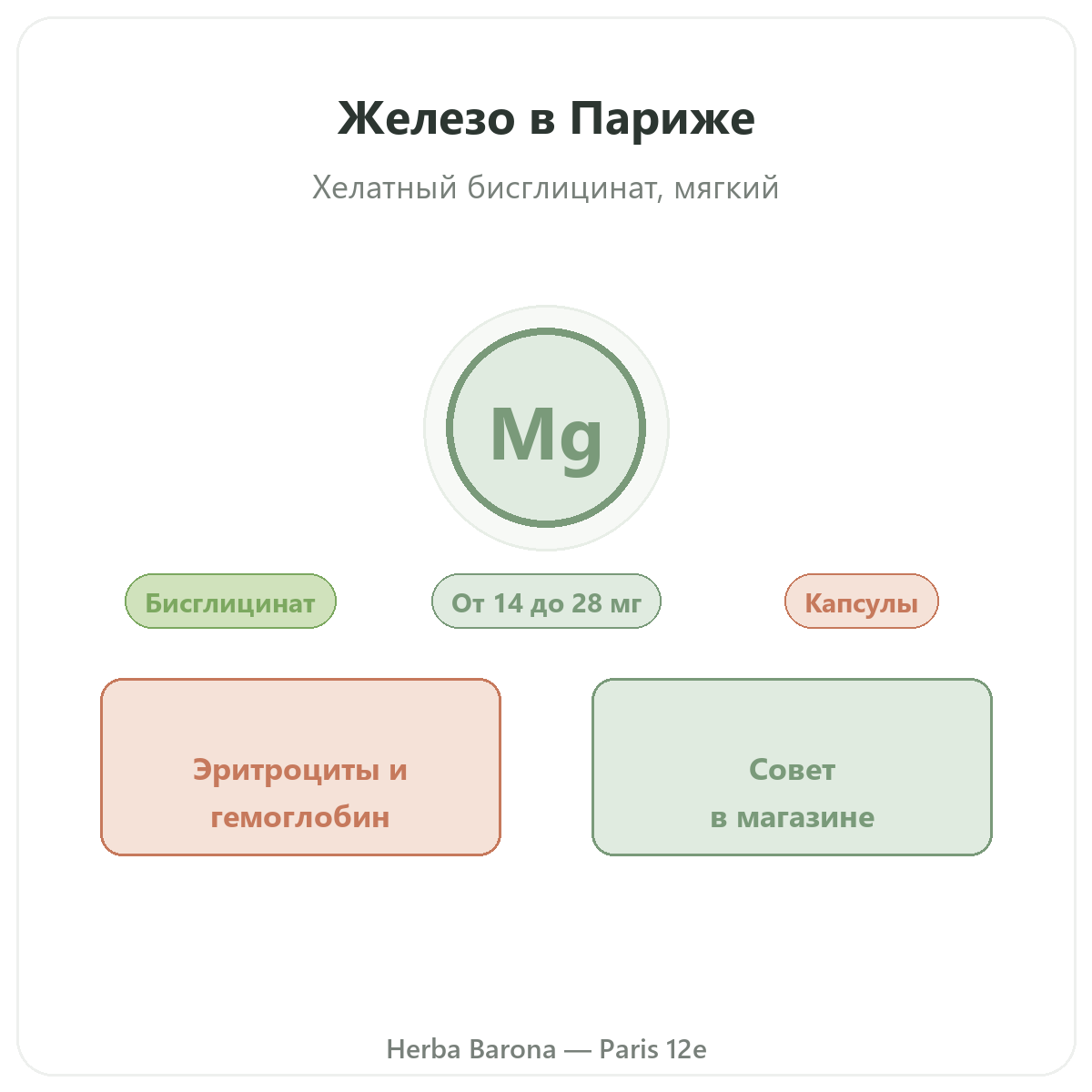 Железо в Париже — в Herba Barona Париж, 12-й округ