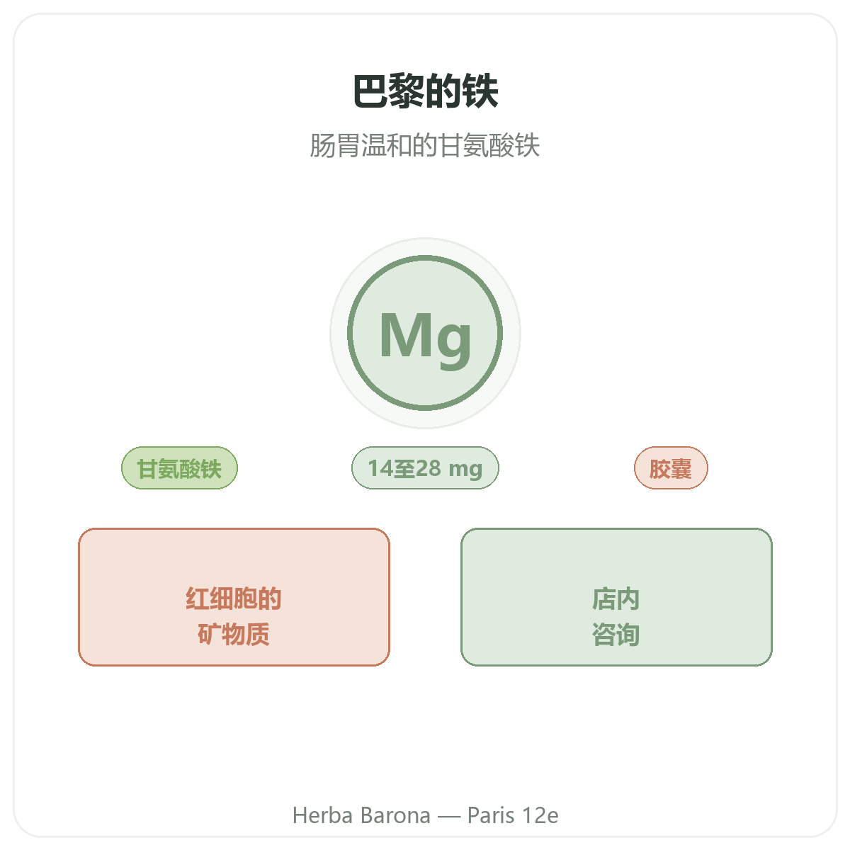 铁 巴黎 - Herba Barona 巴黎12区门店