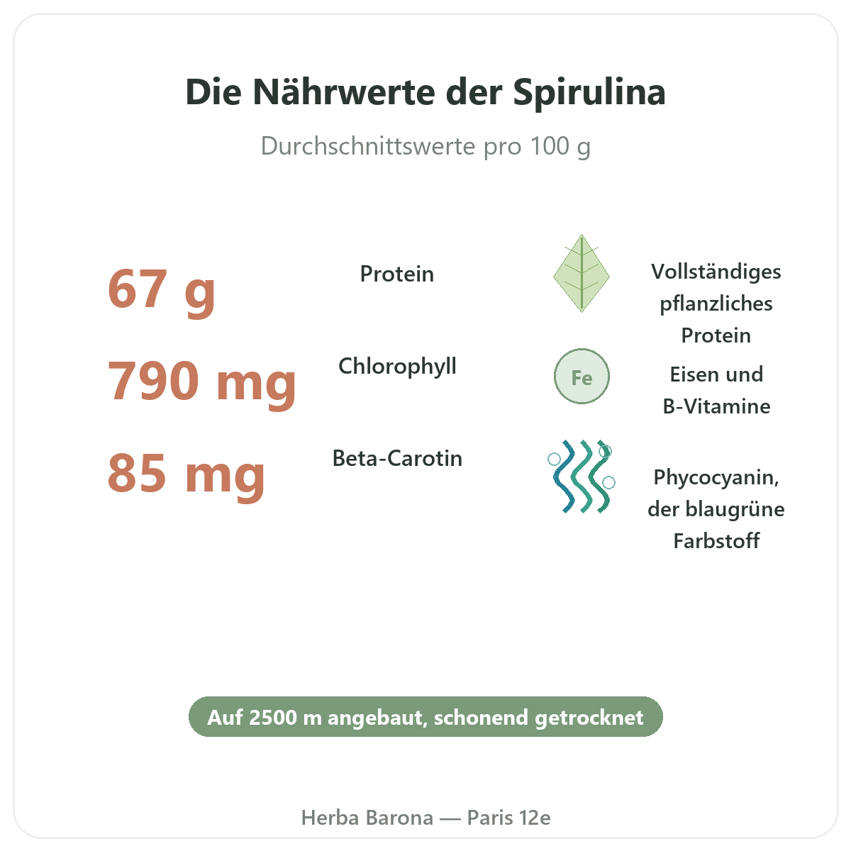 Vorteile von Spirulina Flamant Vert - Proteine Eisen Beta-Carotin Paris Herba Barona Paris 12e