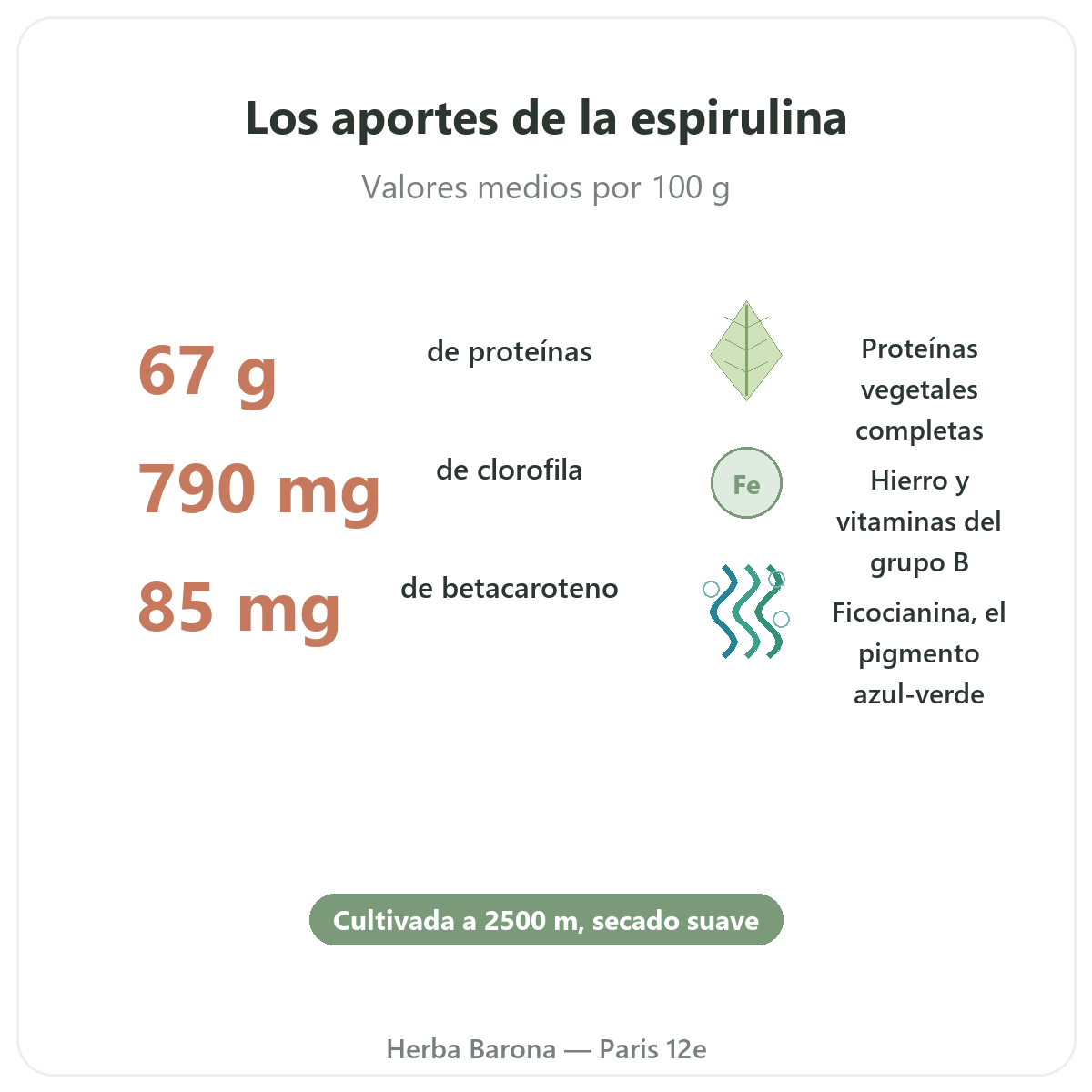 Beneficios de la espirulina Flamant Vert - proteínas hierro betacaroteno París Herba Barona París 12e