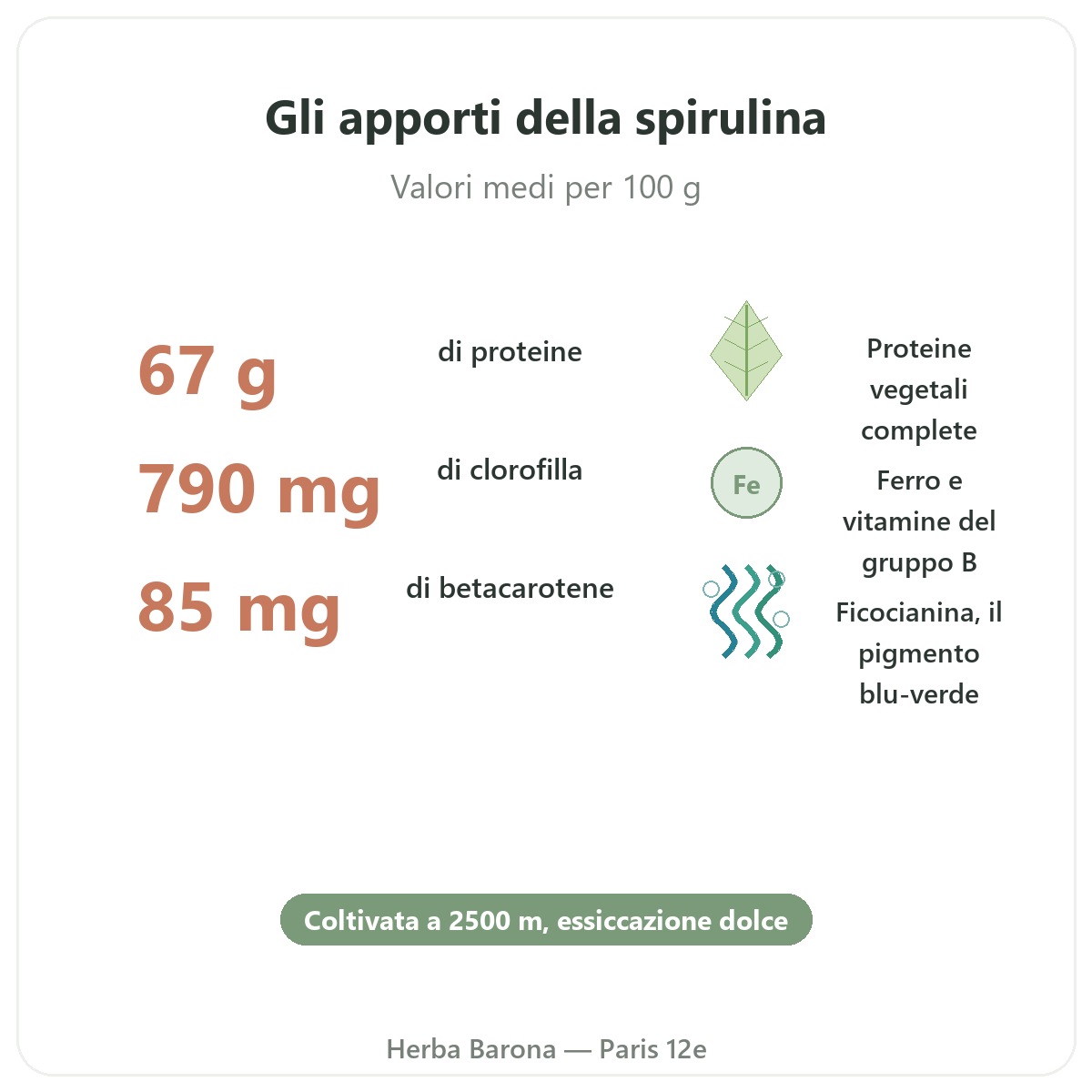 Benefici della spirulina Flamant Vert - proteine ferro beta-carotene Parigi Herba Barona Parigi 12e