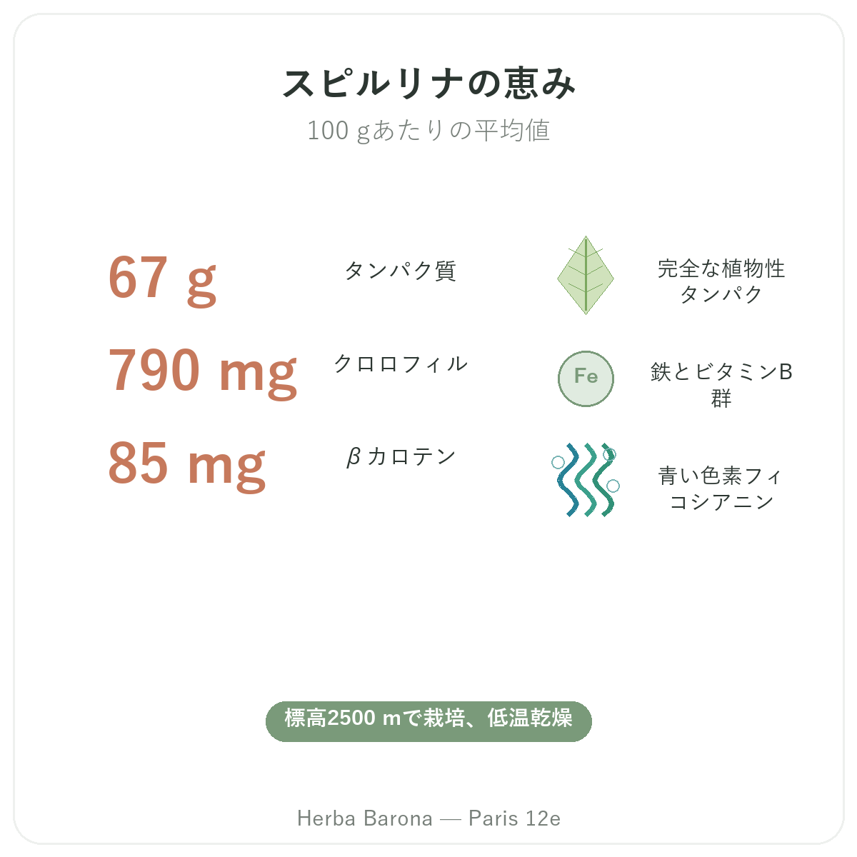 Flamant Vertのスピルリナの効果 - タンパク質・鉄分・ベータカロテン、パリHerba Barona パリ12区