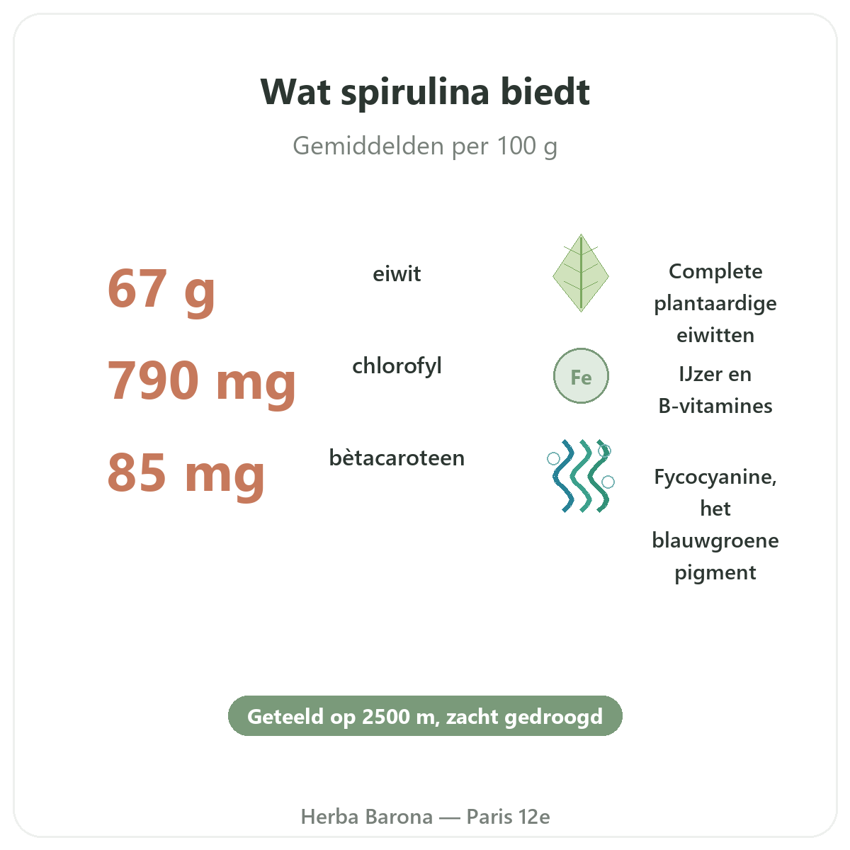 Bienfaits de la spiruline Flamant Vert - proteines fer beta-carotene Paris Herba Barona Paris 12e