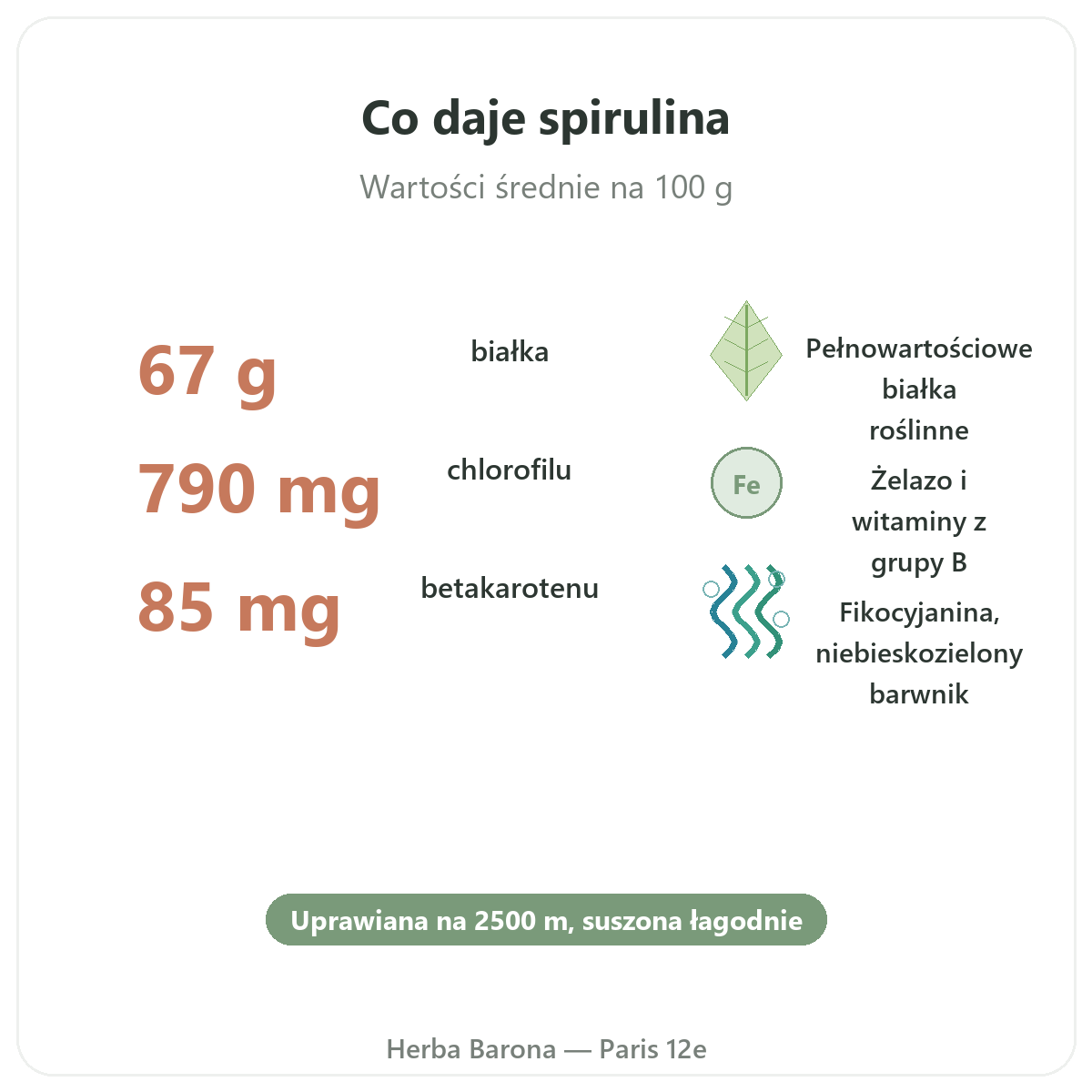 Korzyści spiruliny Flamant Vert - białko, żelazo, beta-karoten Paryż Herba Barona Paryż 12