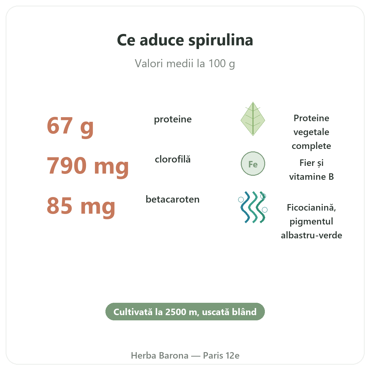 Beneficiile spirulinei Flamant Vert - proteine, fier, beta-caroten Paris Herba Barona Paris, arondismentul 12