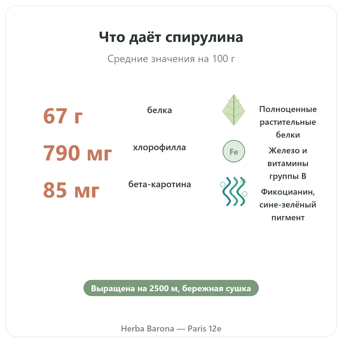 Польза спирулины Flamant Vert — белки, железо, бета-каротин, Париж, Herba Barona, Париж, 12-й округ