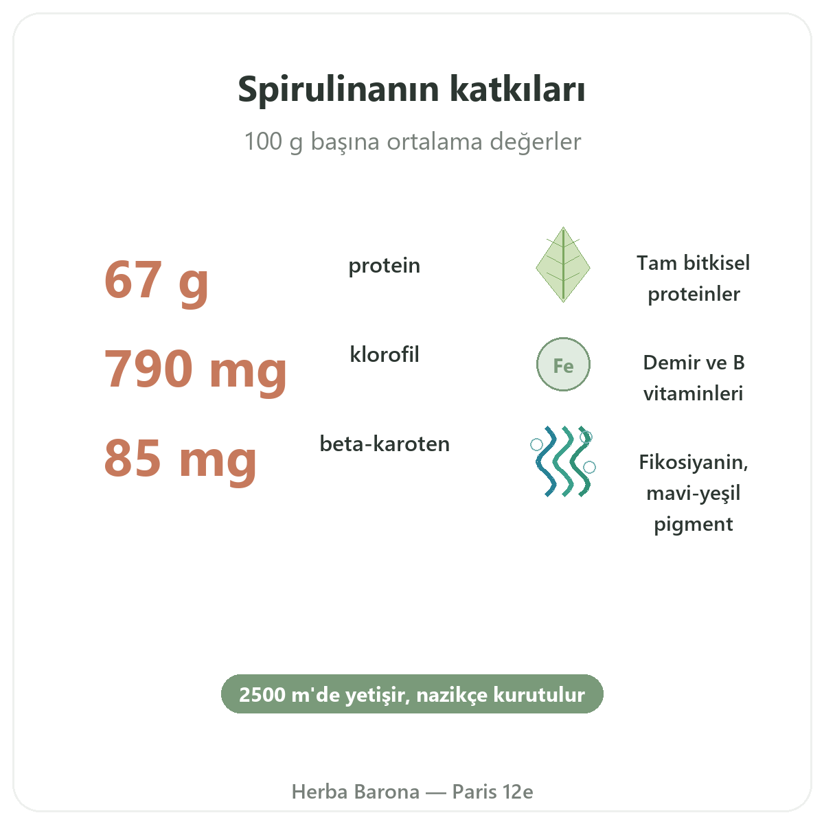 Flamant Vert spirulinin faydaları - protein, demir, beta-karoten Paris Herba Barona Paris 12. bölge