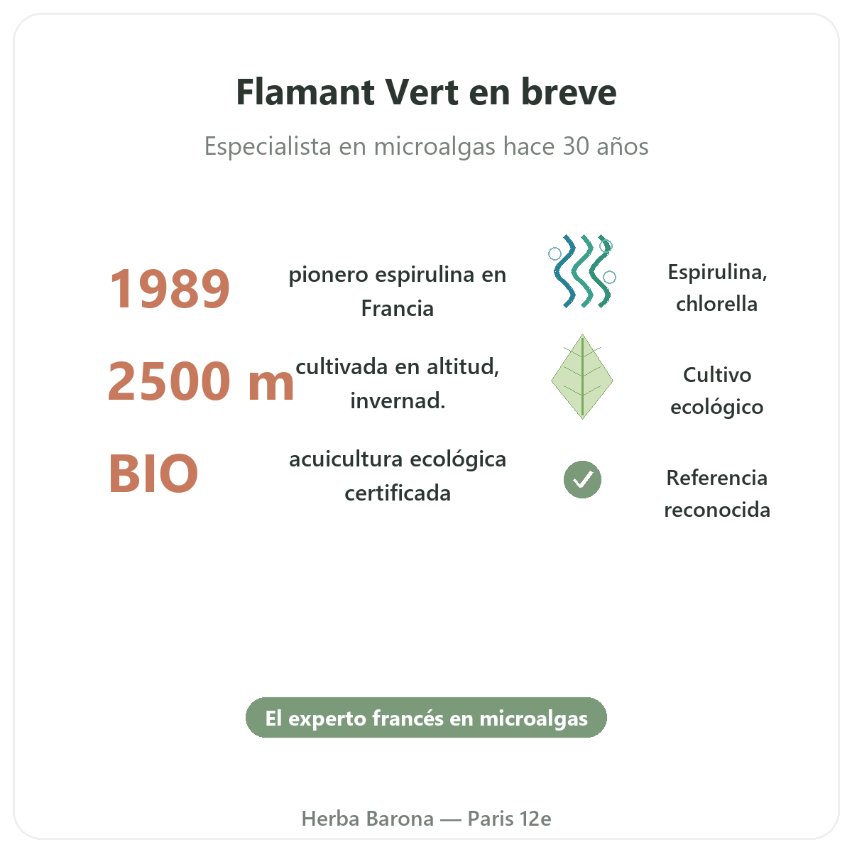 Flamant Vert París en resumen - cifras clave en Herba Barona París 12e