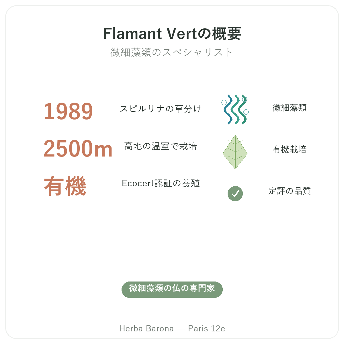 Flamant Vert パリ 早わかり - Herba Barona パリ12区でのブランド概要