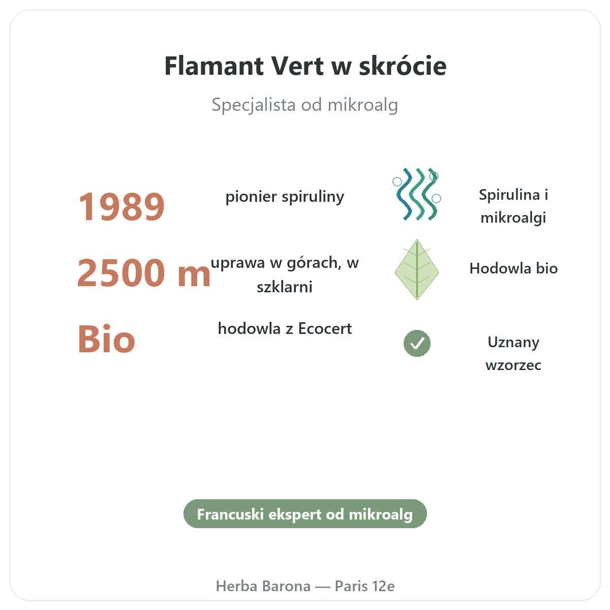 Flamant Vert Paryż w skrócie - kluczowe liczby w Herba Barona Paryż 12