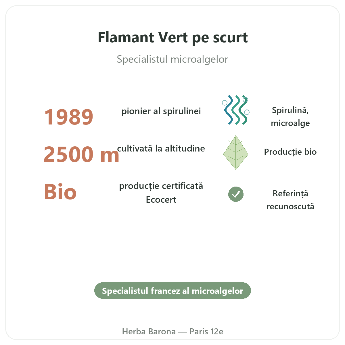 Flamant Vert Paris pe scurt - cifre cheie la Herba Barona Paris, arondismentul 12