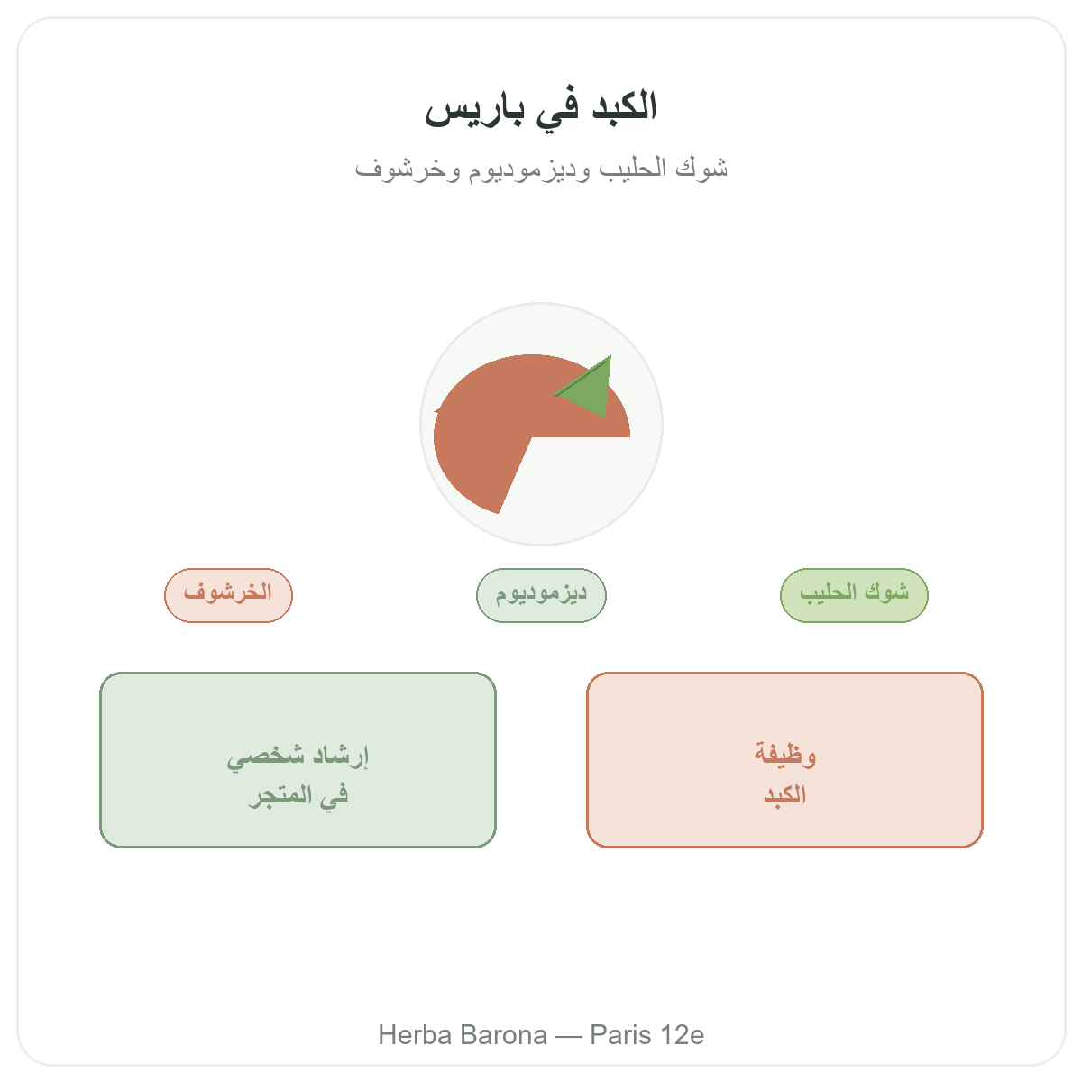 مكملات الكبد في باريس - لدى Herba Barona باريس الدائرة 12