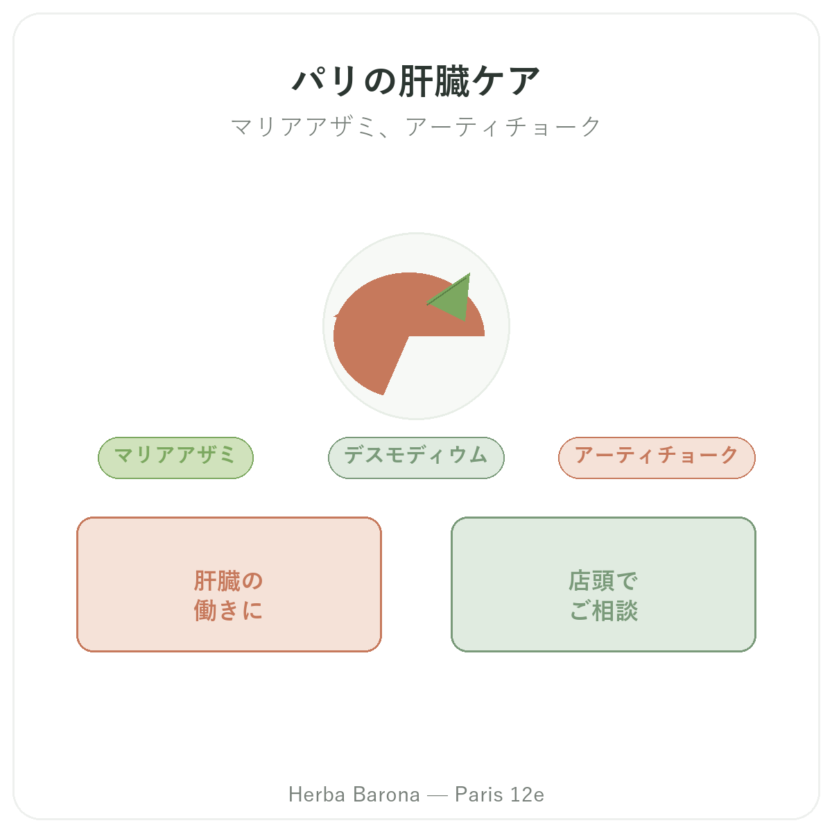 肝臓サプリメント パリ-Herba Barona パリ12区