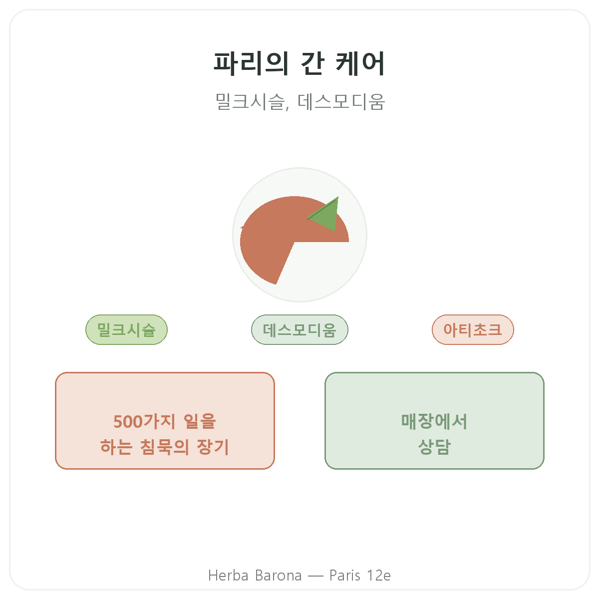 파리의 간 영양제 - Herba Barona 파리 12구