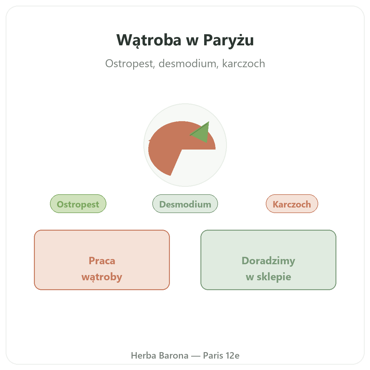 Suplementy na wątrobę – prezentacja w Herba Barona