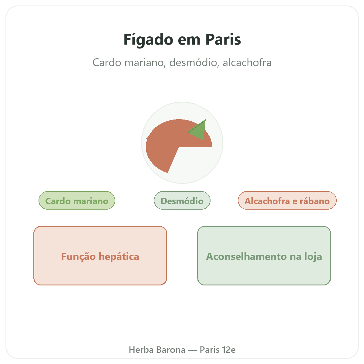 Suplementos para o fígado em Paris - na Herba Barona Paris 12e